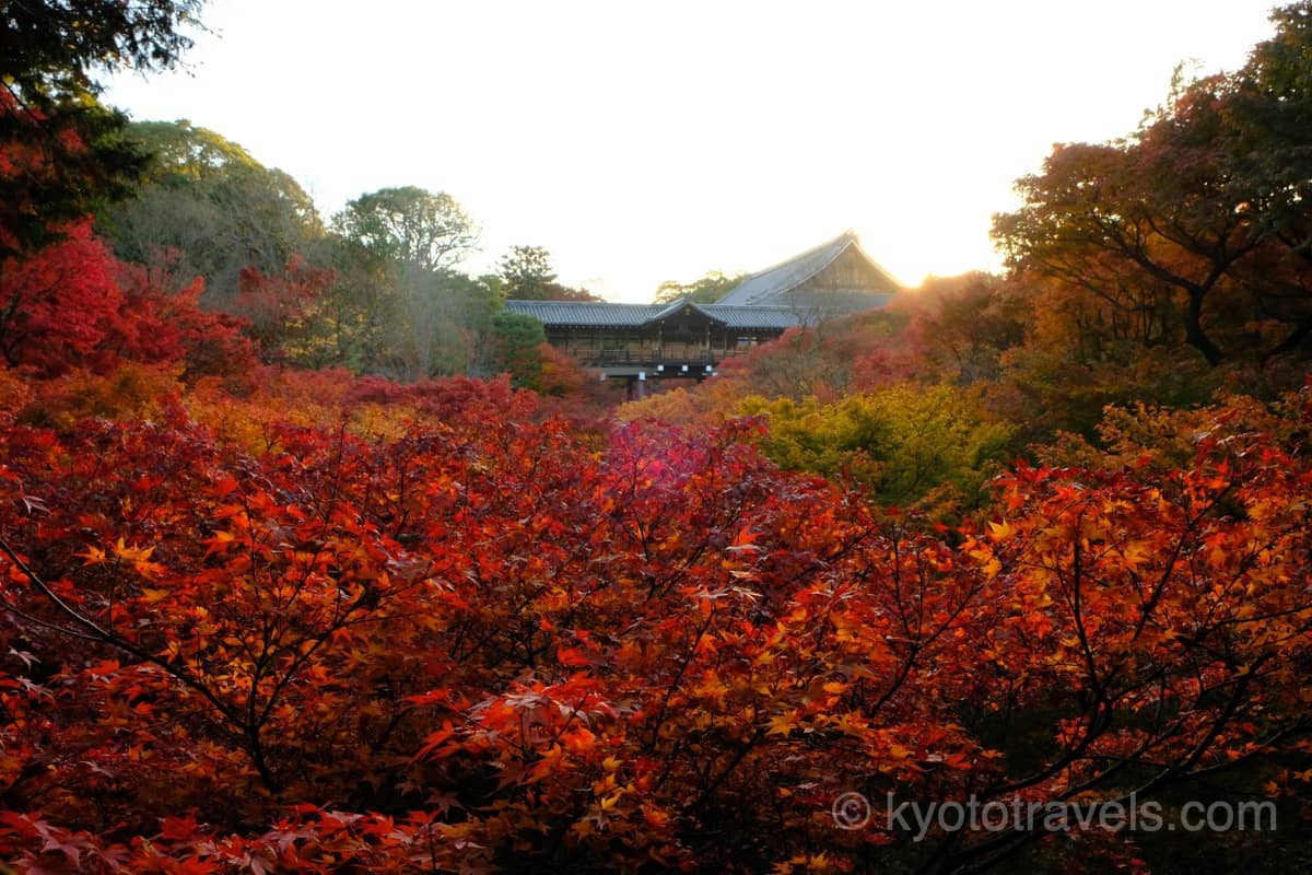 東福寺 臥雲橋から通天橋の紅葉を眺める