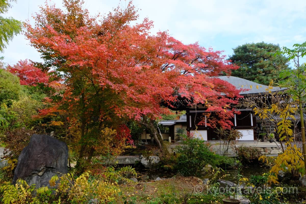 白沙村荘 仏堂の紅葉
