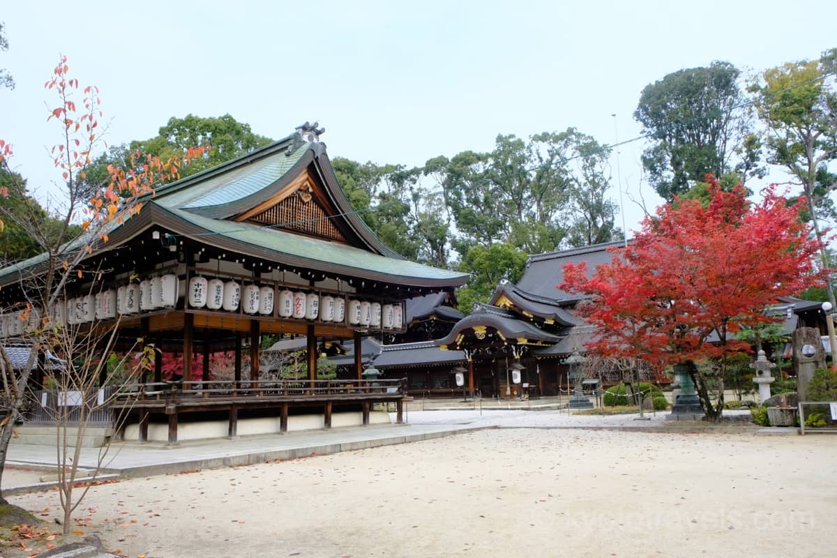 今宮神社 拝殿と本殿の紅葉