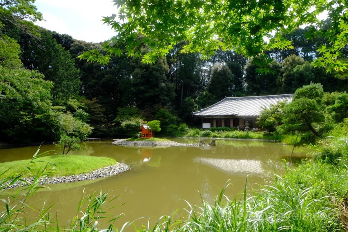 浄瑠璃寺の池と本堂