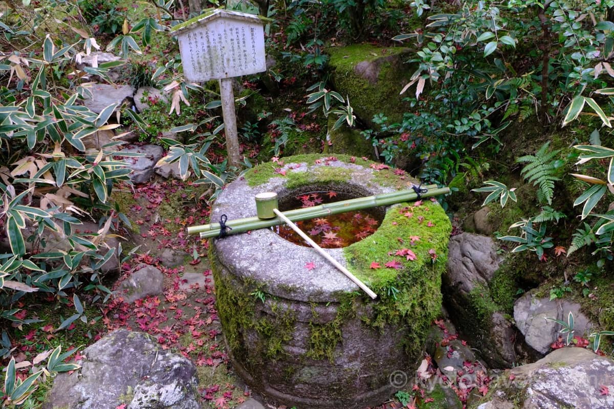 高桐院 袈裟型の手水鉢