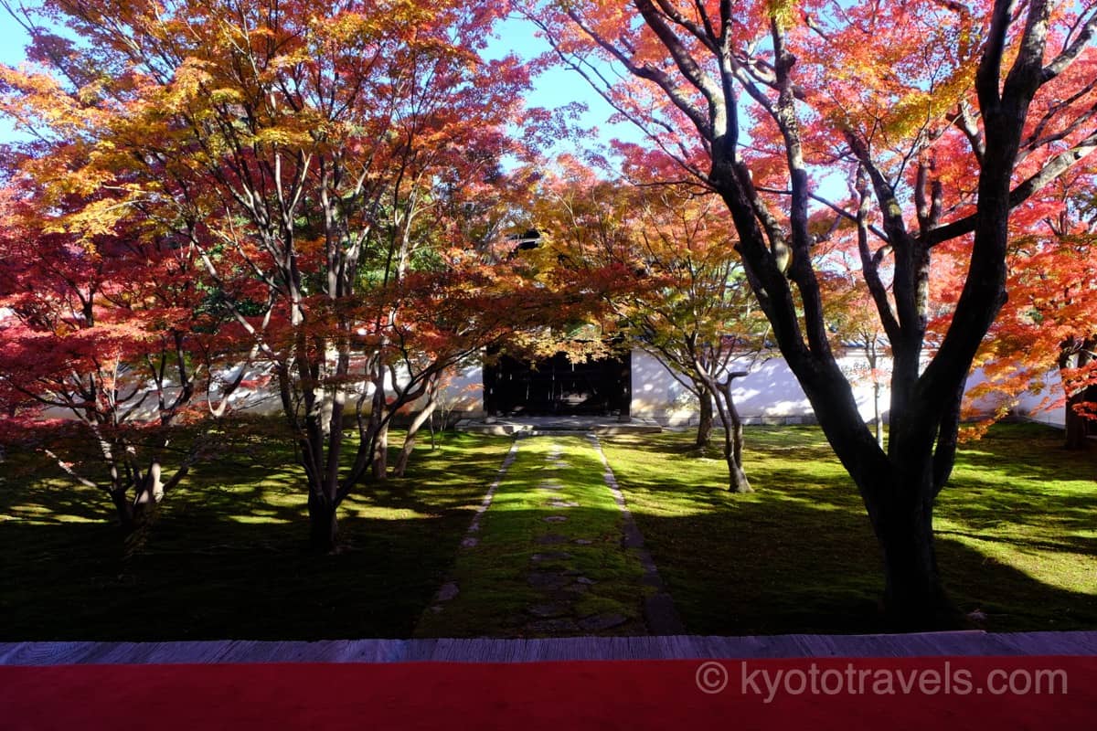 妙覺寺 法姿園の紅葉