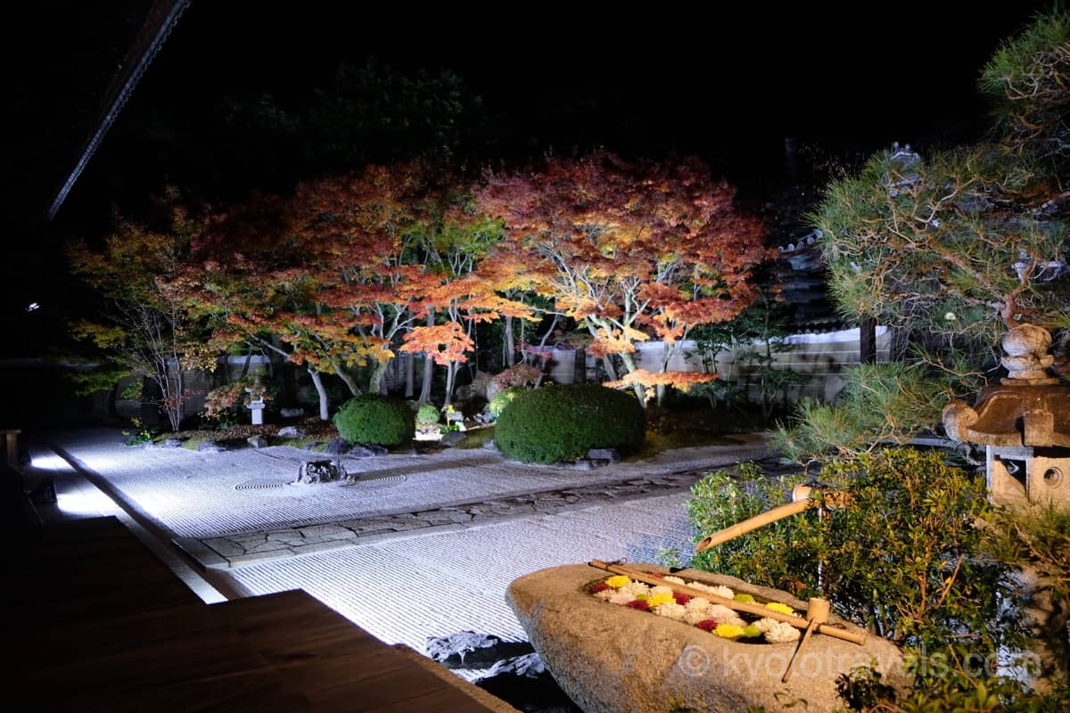 妙顕寺 四海唱導の庭との紅葉ライトアップ
