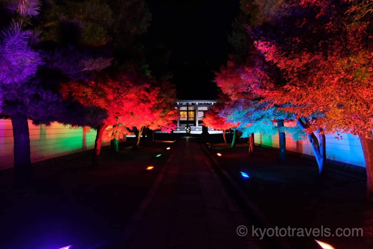 妙顕寺 参道の紅葉ライトアップ