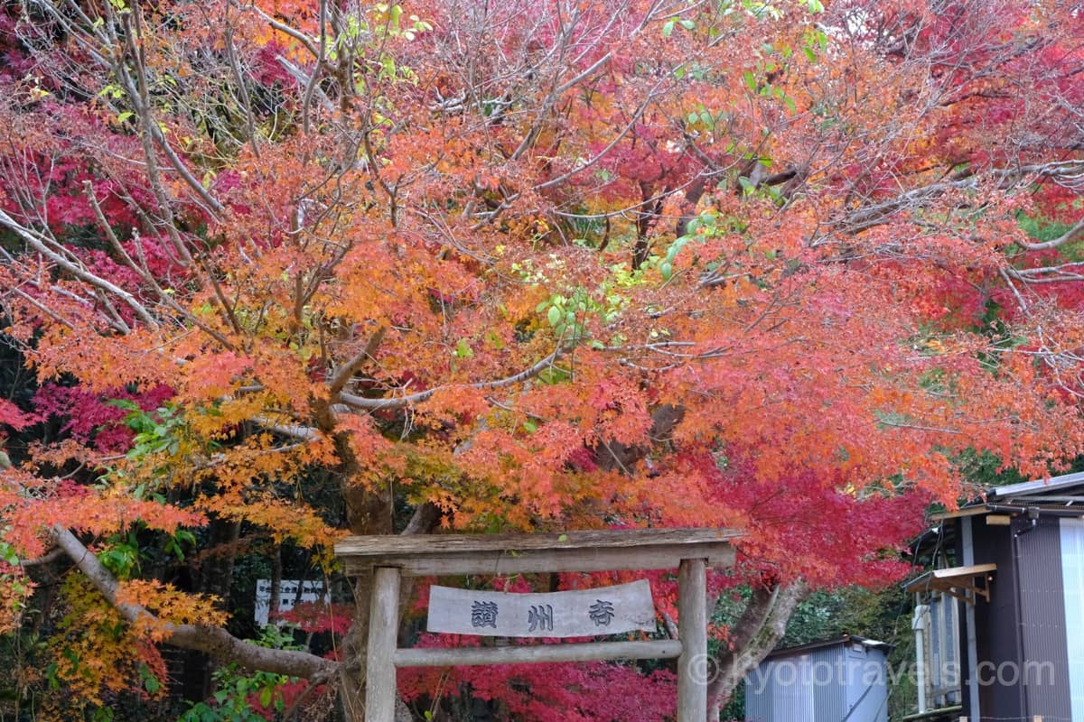 讃州寺の紅葉