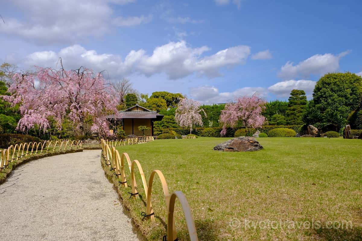 城南宮 神苑 桃山の庭と桜