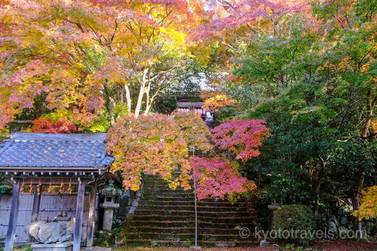 金蔵寺の本堂と紅葉