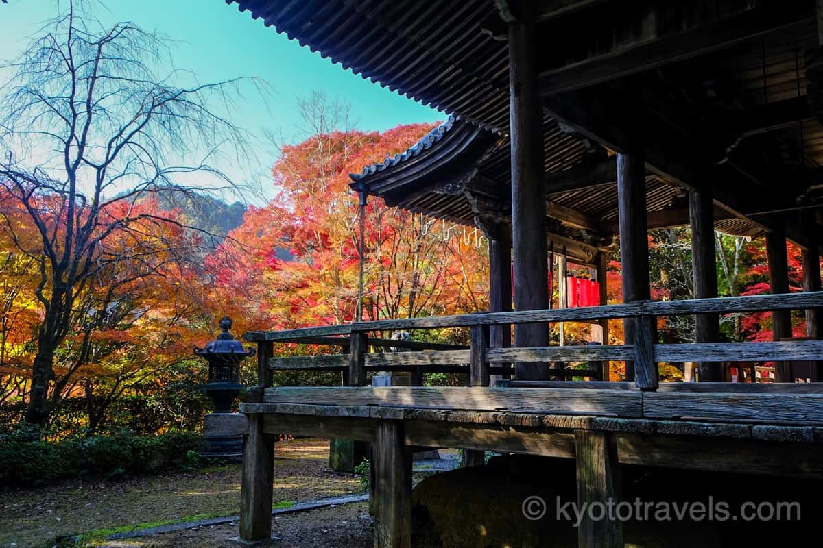 金蔵寺 本堂と紅葉