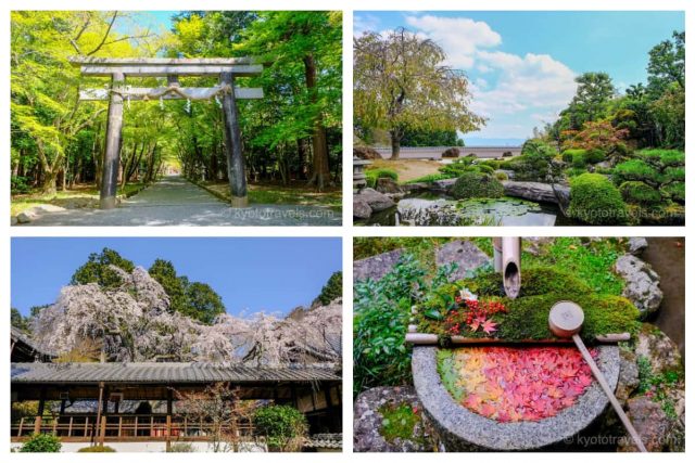 大原野神社の鳥居、正法寺の庭園、十輪寺の桜、楊谷寺の紅葉手水の画像がグリッドで配置されています。