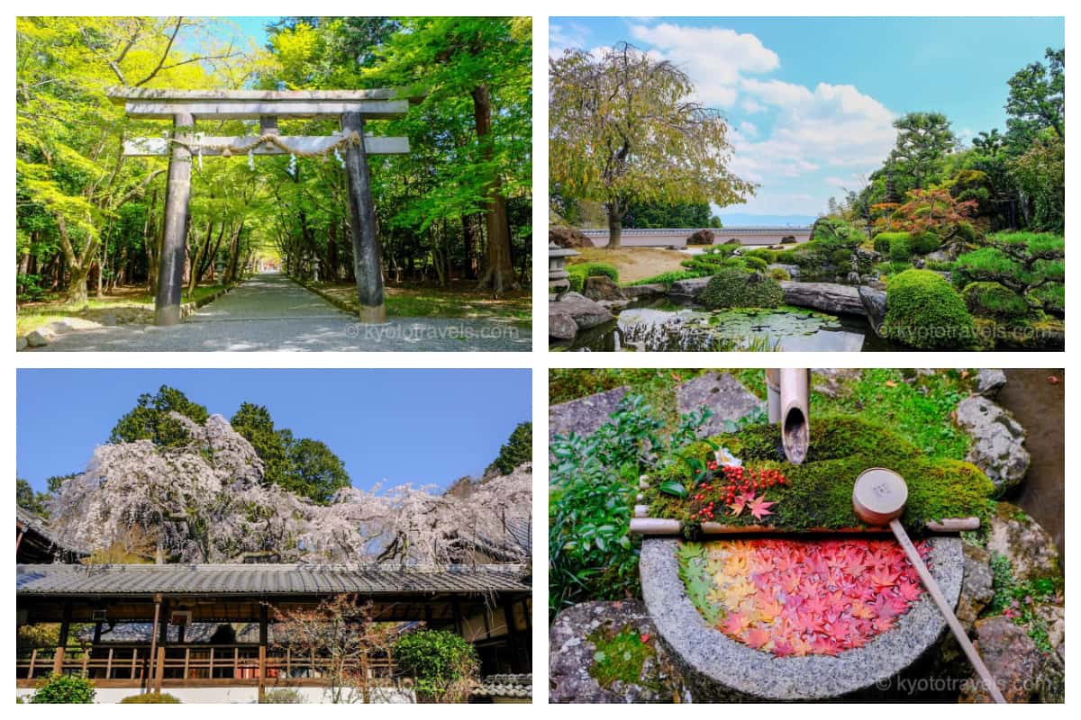 大原野神社の鳥居、正法寺の庭園、十輪寺の桜、楊谷寺の紅葉手水の画像がグリッドで配置されています。