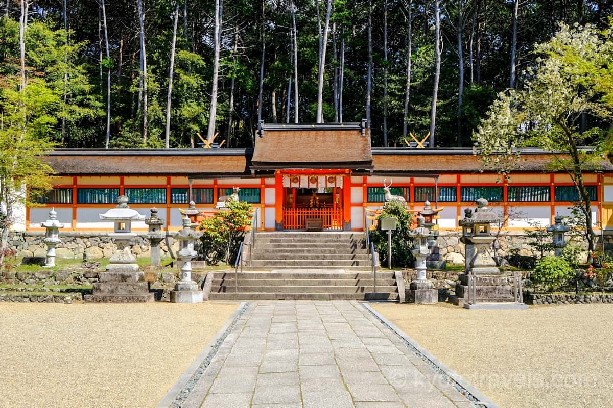 大原野神社 一間社春日造の本殿と狛鹿