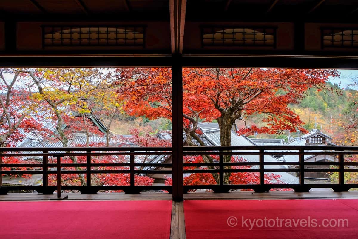 楊谷寺(柳谷観音) 上書院から紅葉を眺める