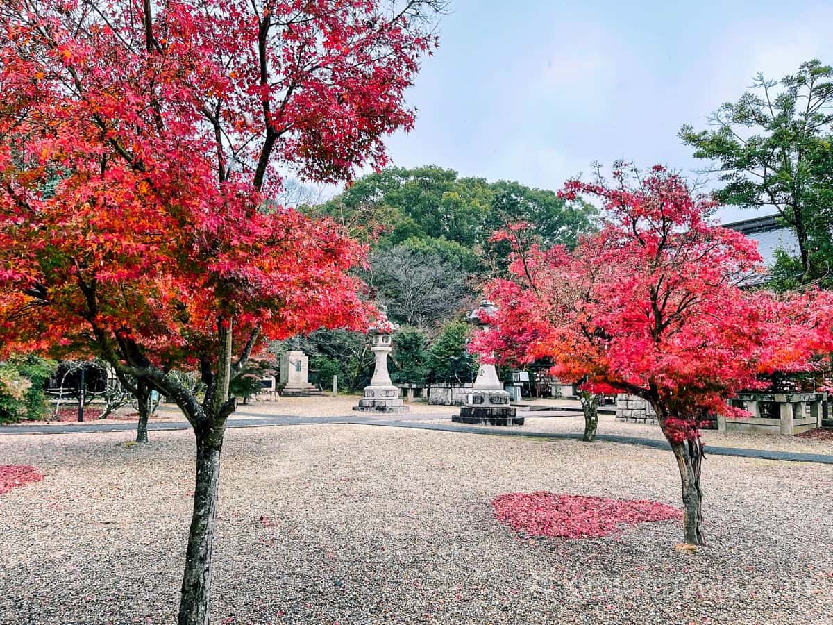 乃木神社の境内と紅葉