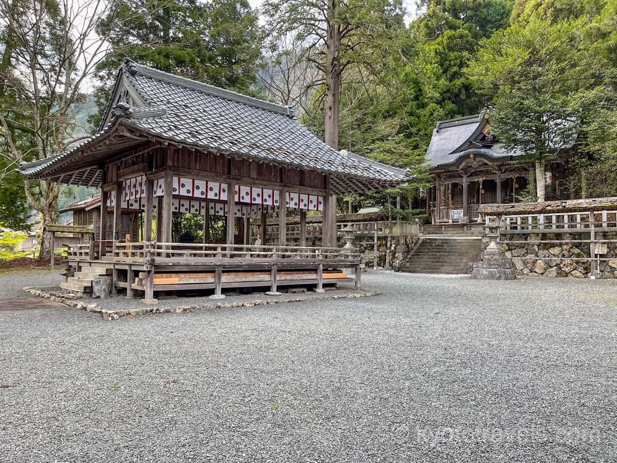 知井八幡神社の拝殿と本殿