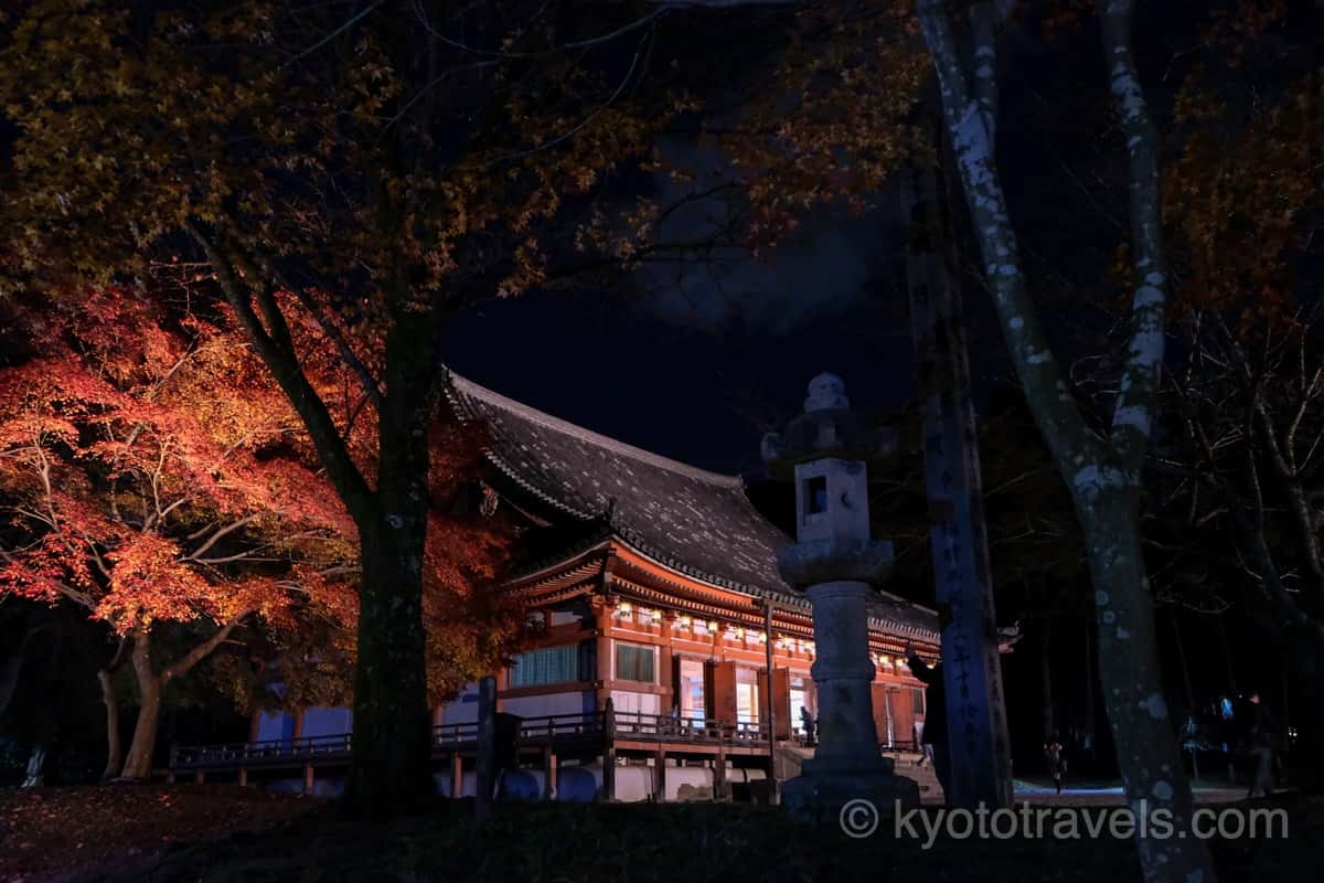 醍醐寺 金堂と紅葉ライトアップ