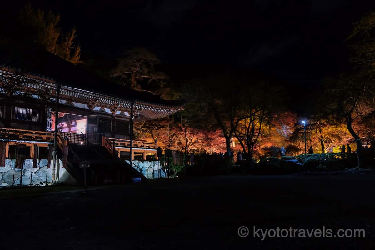 醍醐寺 観音堂と紅葉ライトアップ
