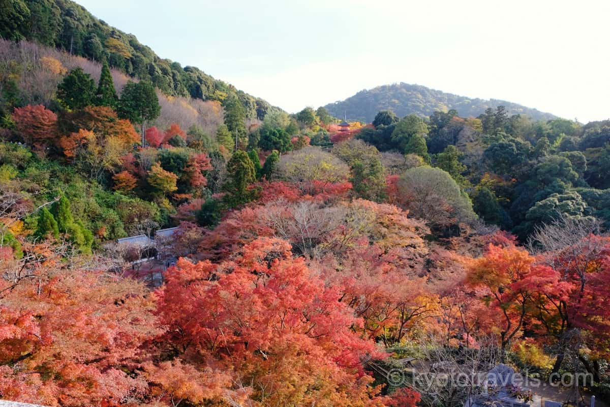 清水寺 本堂から多宝塔の紅葉を眺める