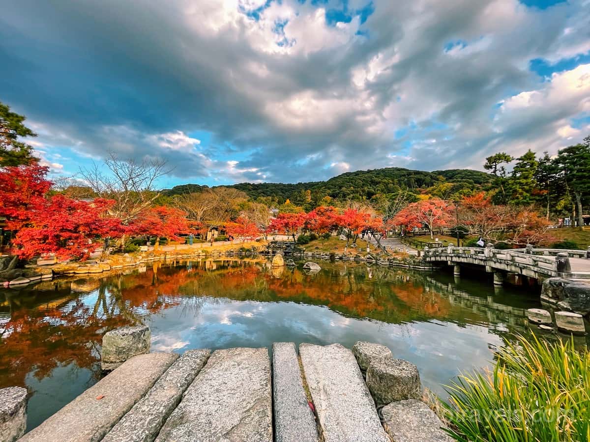 円山公園 庭園の紅葉