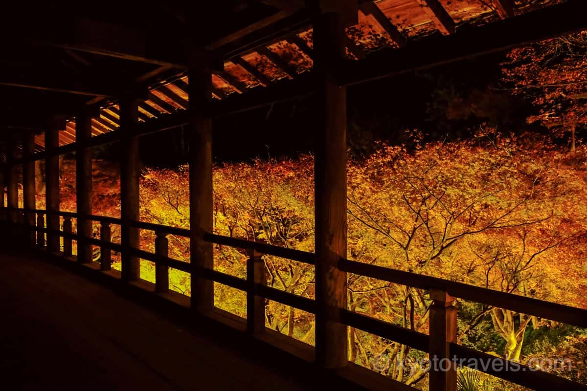東福寺 通天橋の紅葉ライトアップ