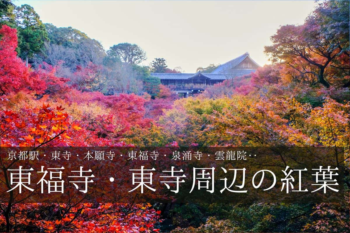 東福寺 臥雲橋の紅葉