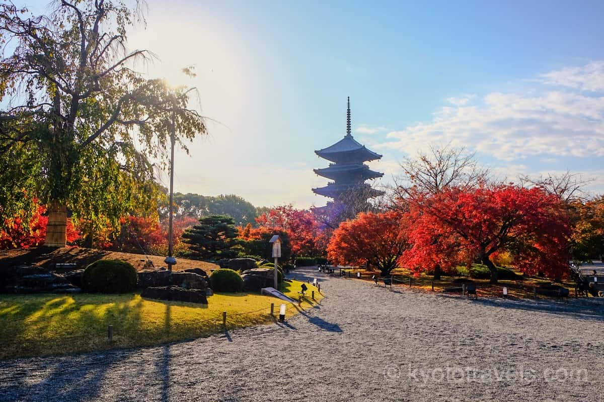 東寺 五重塔と境内の紅葉