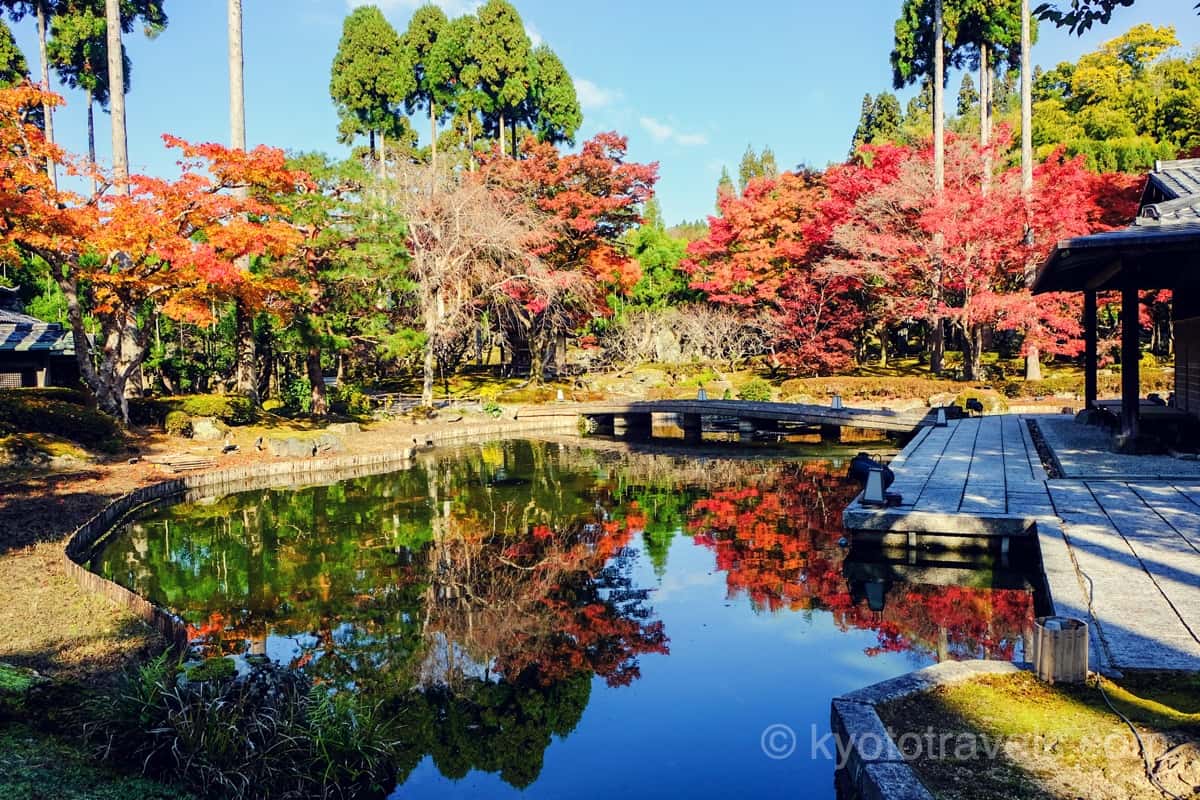 しょうざん日本庭園の池と紅葉