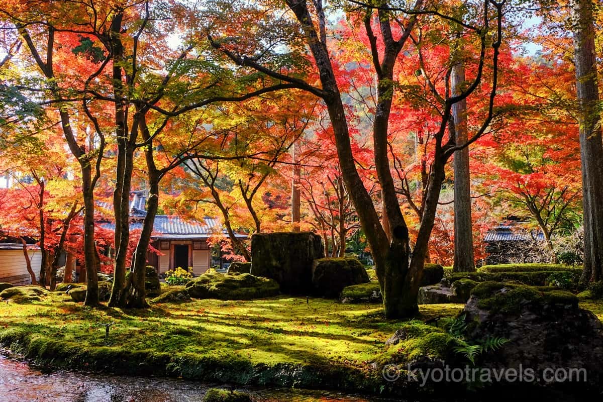 しょうざん日本庭園の紅葉