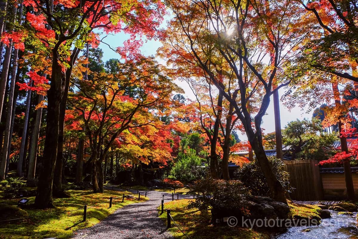 しょうざん日本庭園の紅葉
