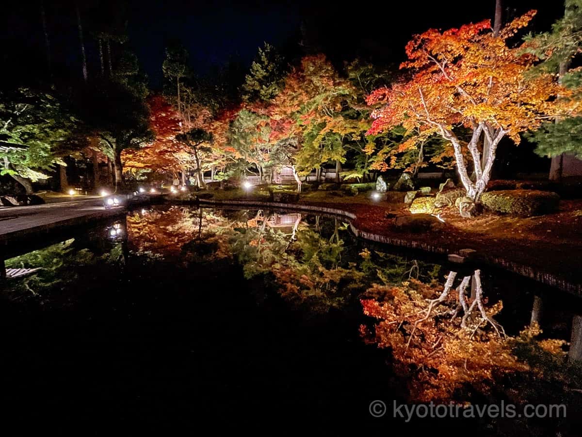 しょうざん日本庭園の池と紅葉ライトアップ