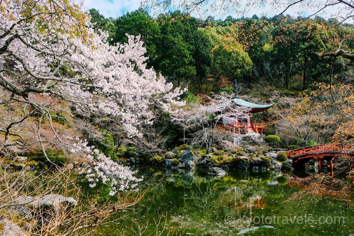 醍醐寺 弁天堂と桜