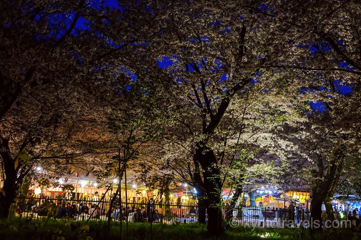 平野神社 夜桜と出店