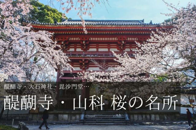 醍醐寺 仁王門と桜