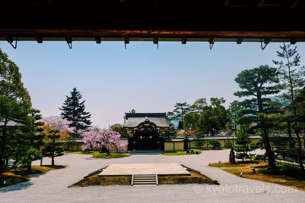 大覚寺 勅使門と紅枝垂れ桜