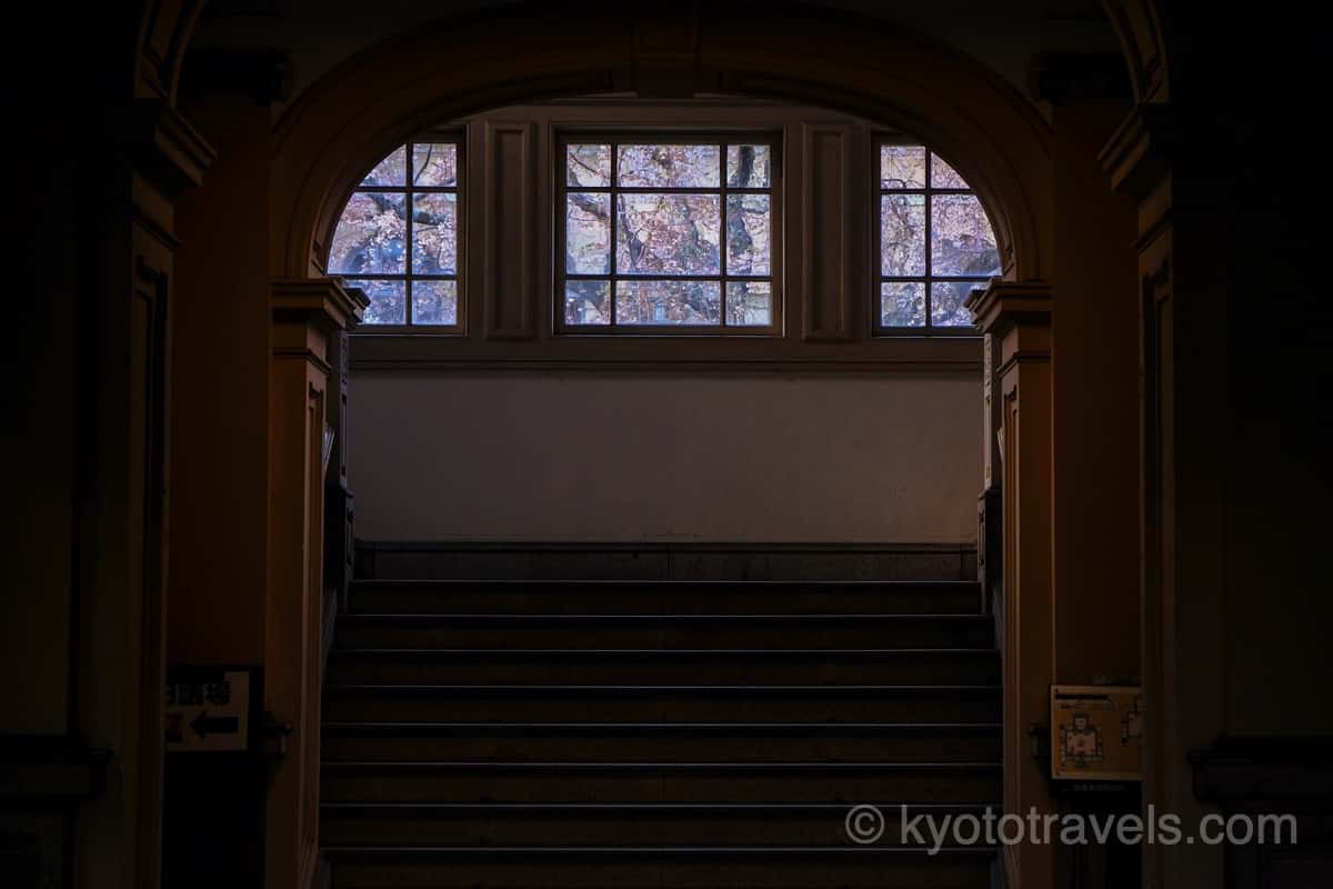 京都府庁旧本館の枝垂れ桜と窓