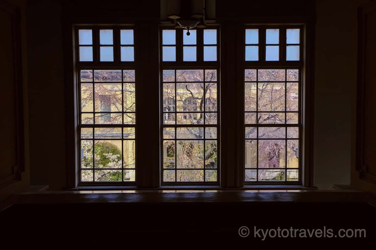 京都府庁旧本館の枝垂れ桜と窓