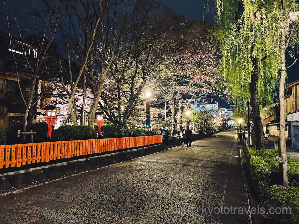 祇園白川 桜ライトアップ