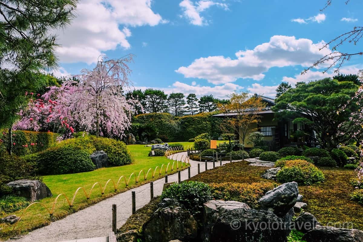 城南宮 神苑の庭園と桜