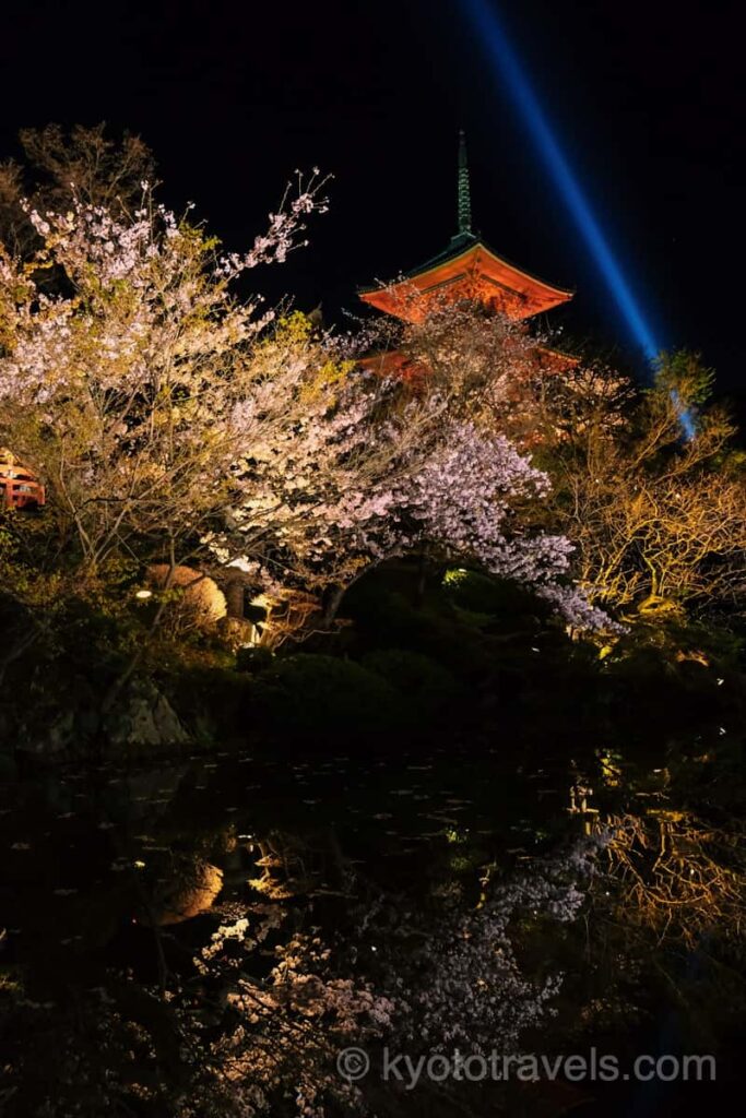 清水寺 三重塔と桜ライトアップ