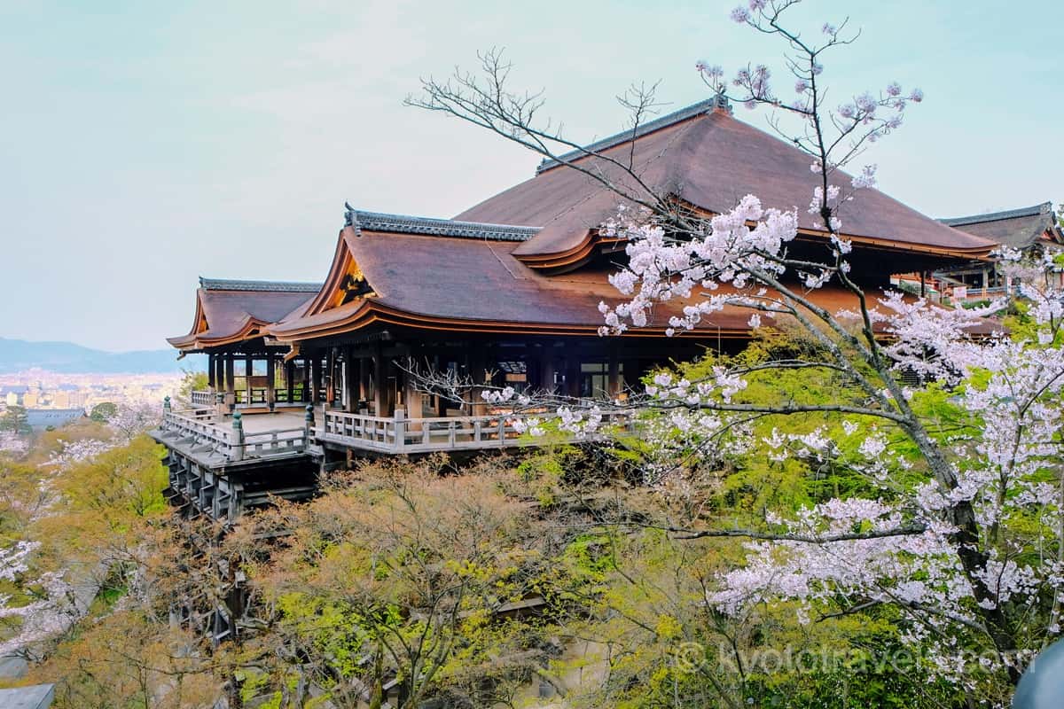 清水寺 本堂と桜
