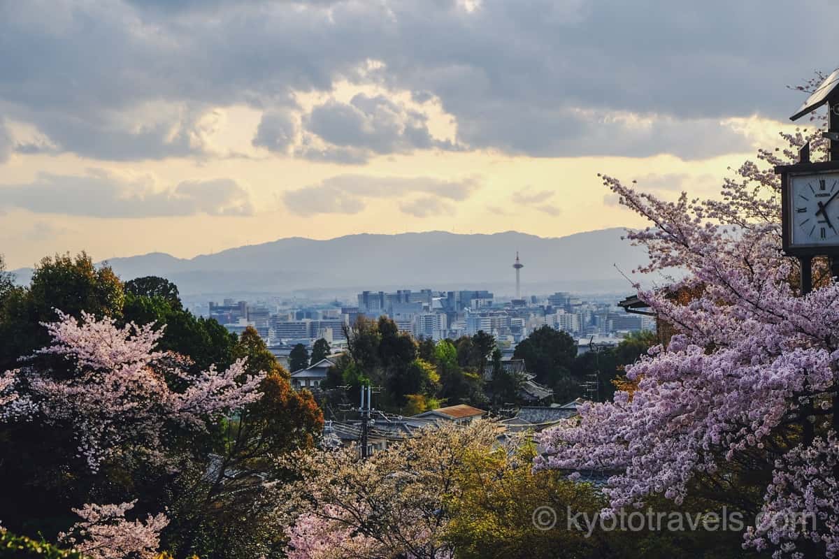 高台寺の桜と京都タワー