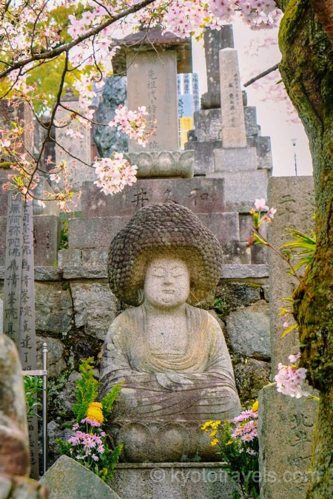 金戒光明寺 仏像と桜
