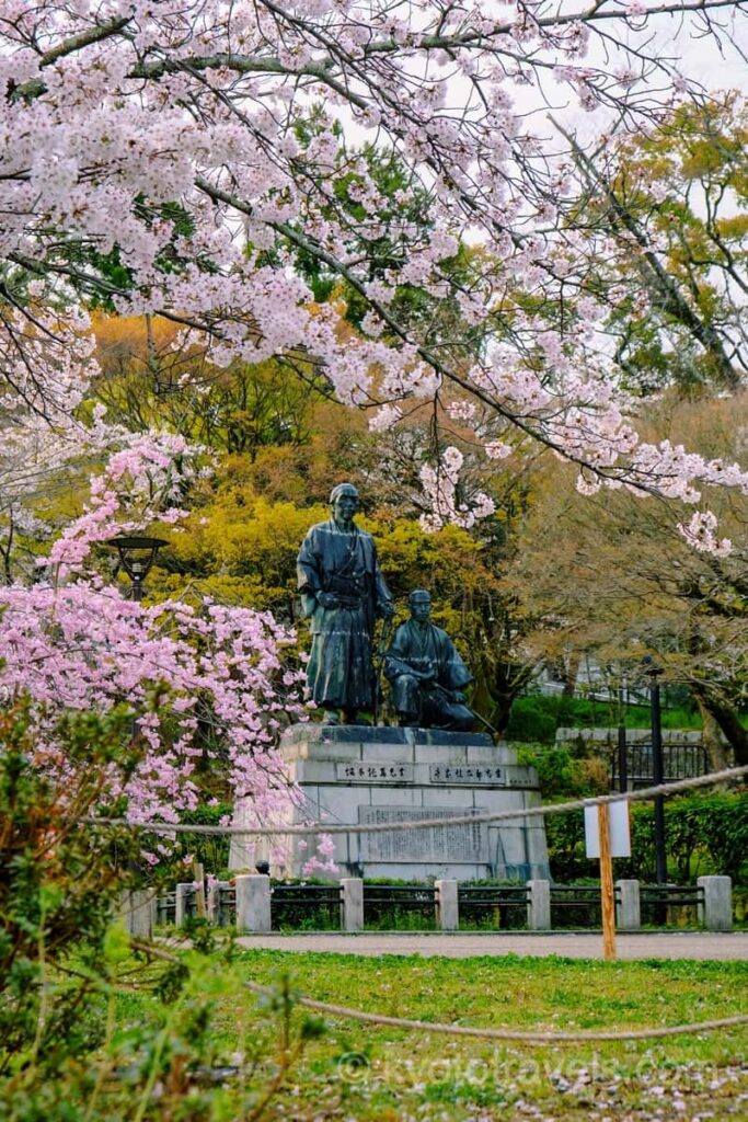 円山公園 中岡慎太郎・坂本龍馬の像と枝垂れ桜