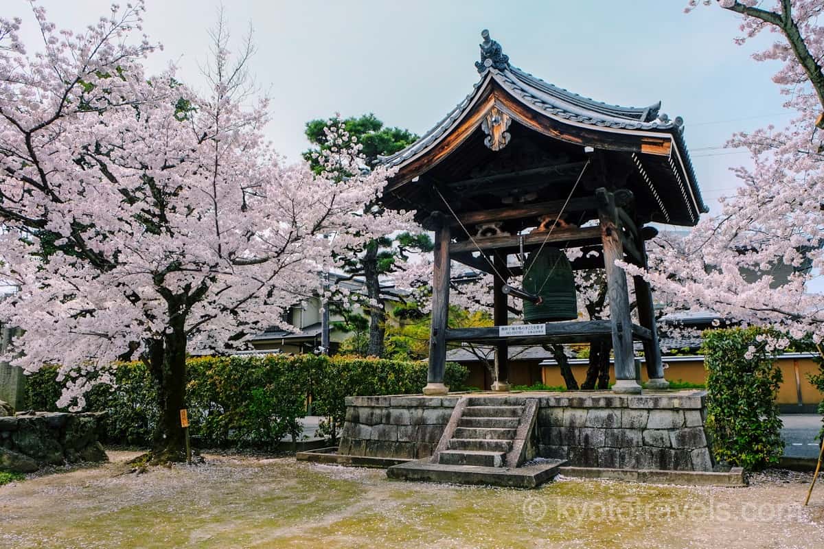 妙顕寺 鐘楼と桜