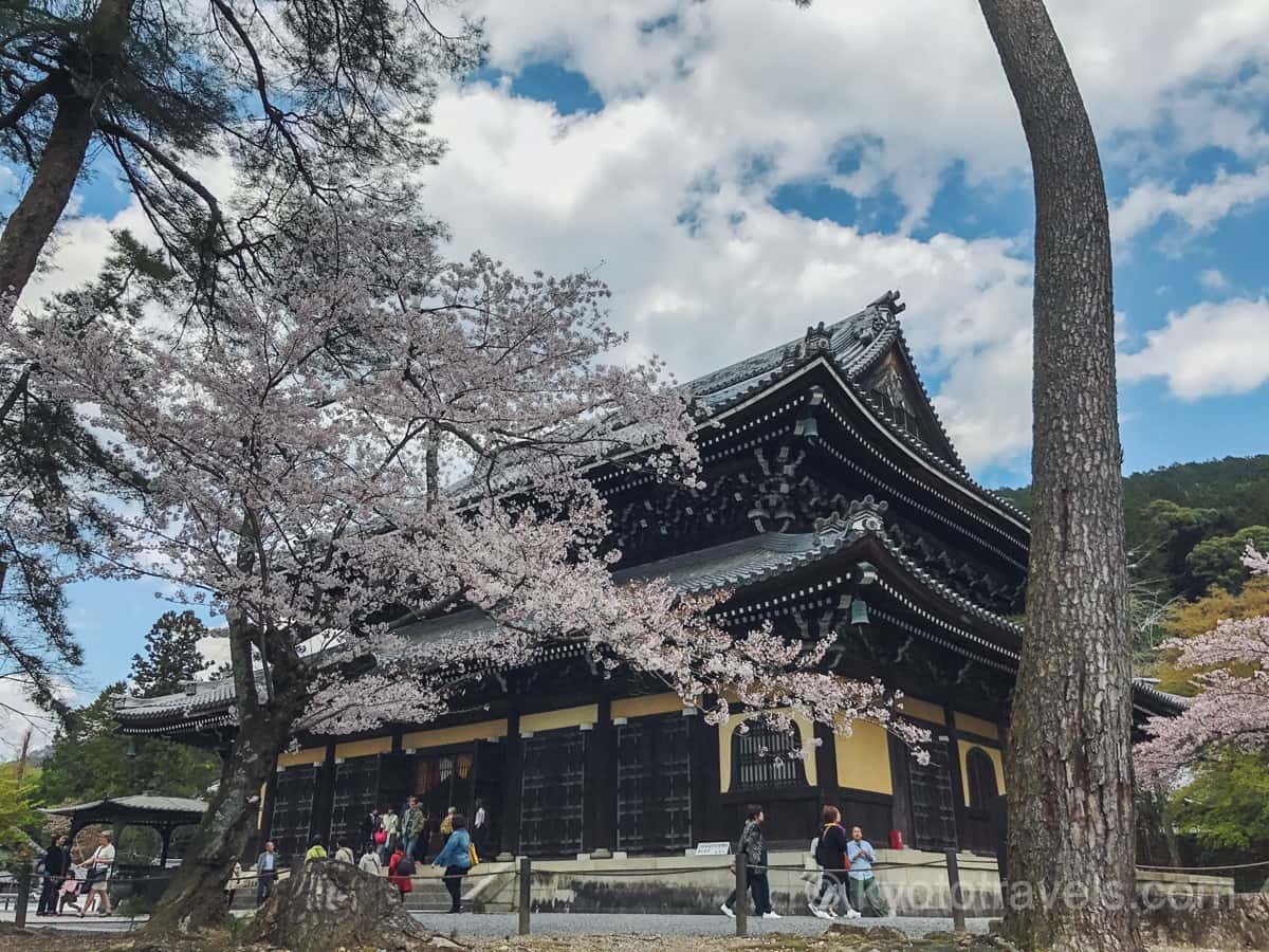 南禅寺 本堂と桜